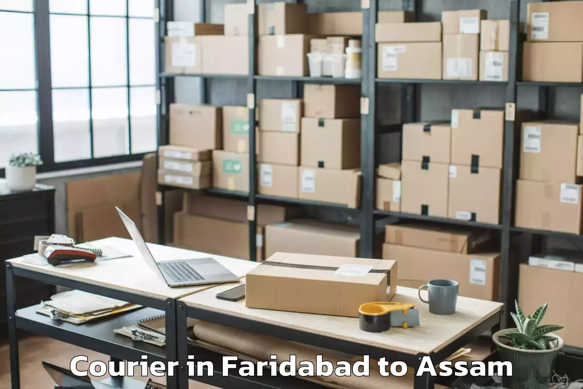 Get Faridabad to Agomani Courier